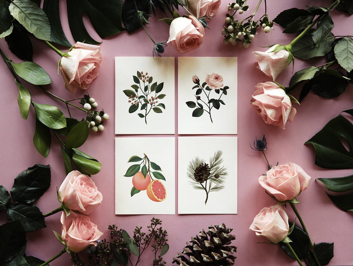 Botanical Scented Card - Rose - SG06 - Clap Clap