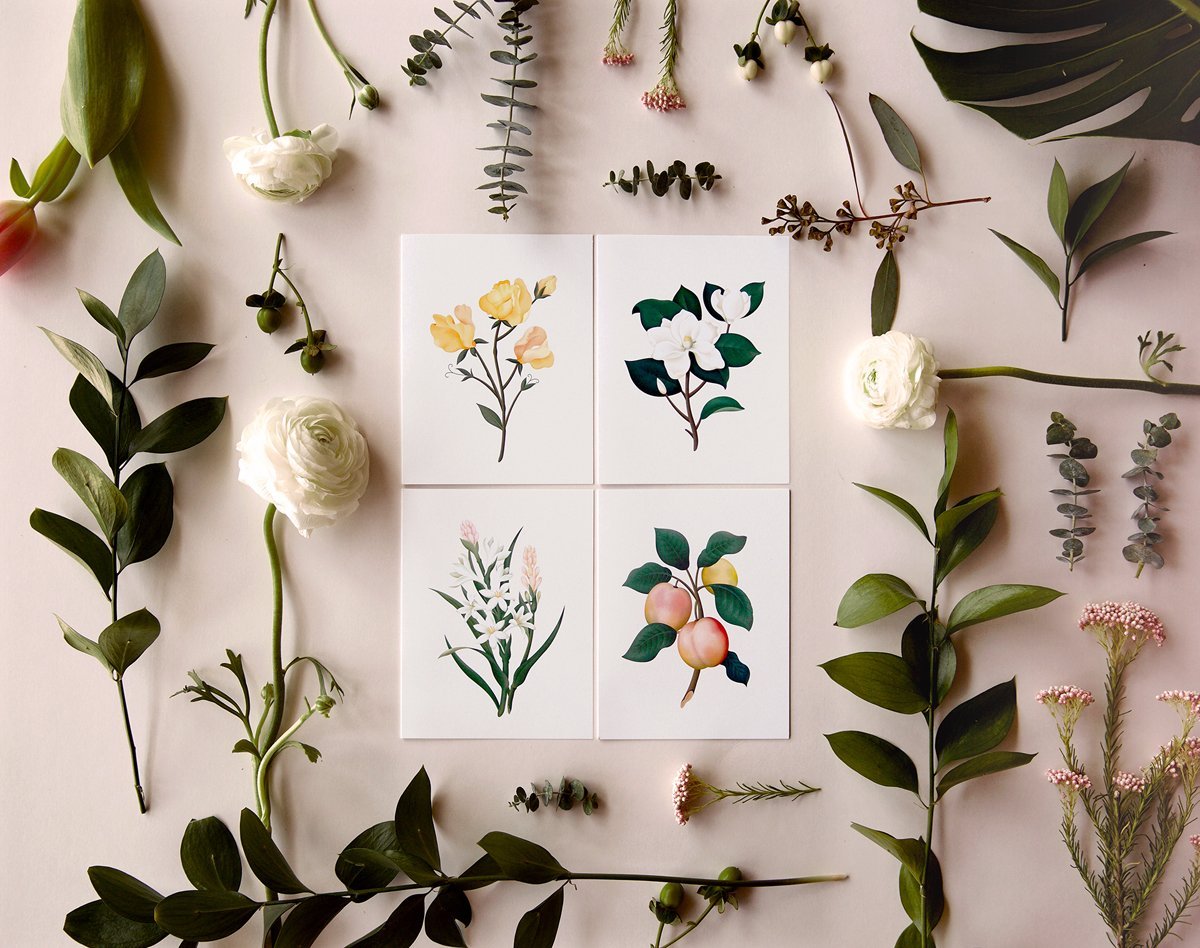 Botanical Scented Card - Tuberose - SG14 - Clap Clap