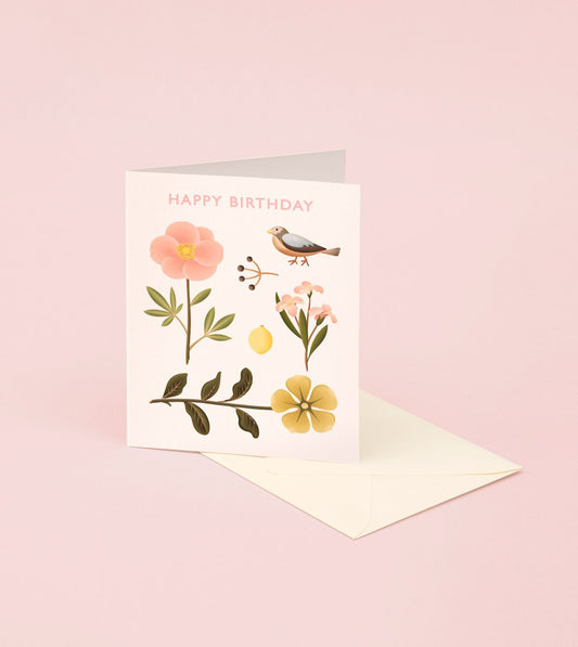 Sparrow Botanical Birthday Card - GB14 - Clap Clap